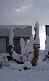 ��X�q�̃\�e�c